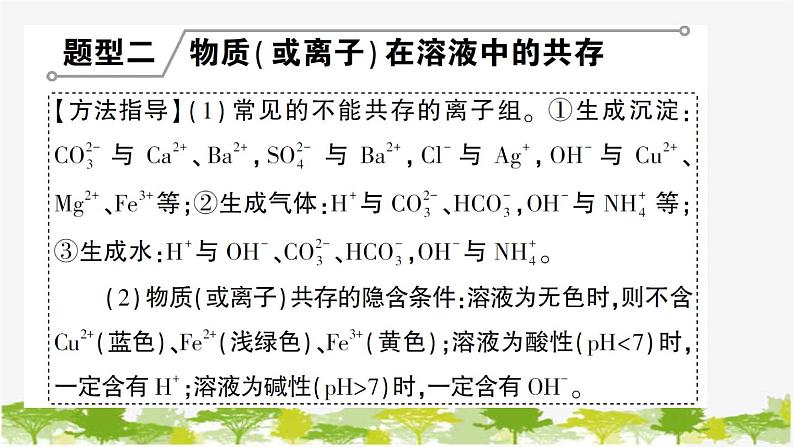 专题训练二 复分解反应及其应用第5页