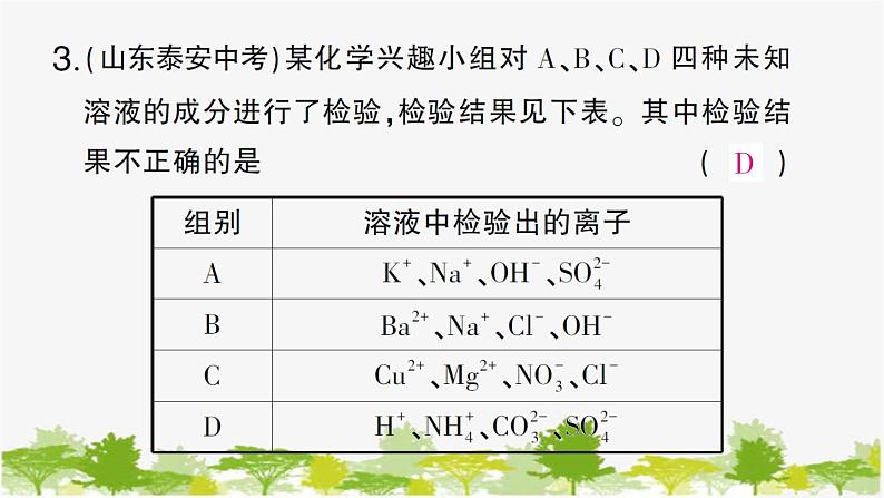 专题训练二 复分解反应及其应用第6页