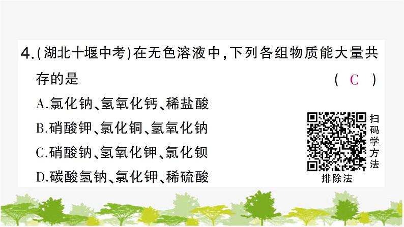 专题训练二 复分解反应及其应用第7页