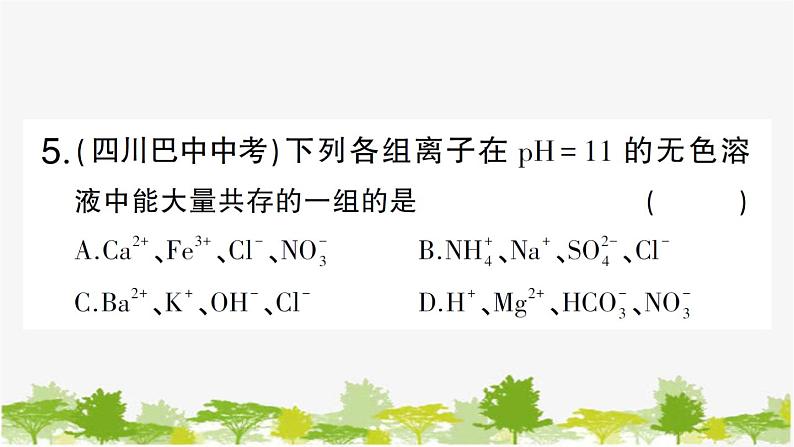 专题训练二 复分解反应及其应用第8页