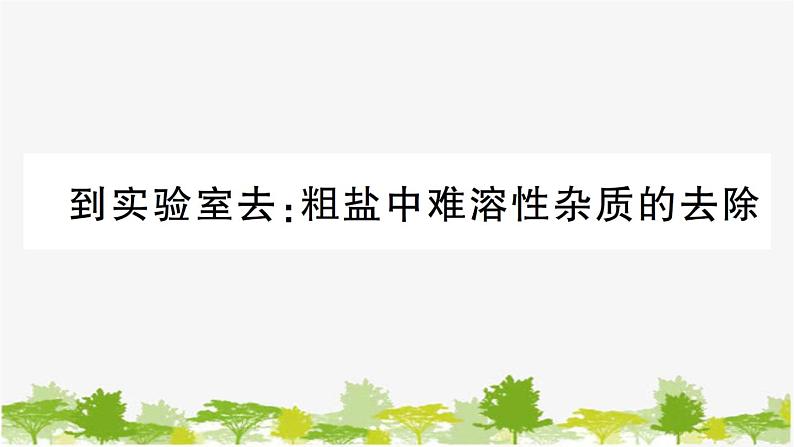 到实验室去：粗盐中难溶性杂质的去除第1页