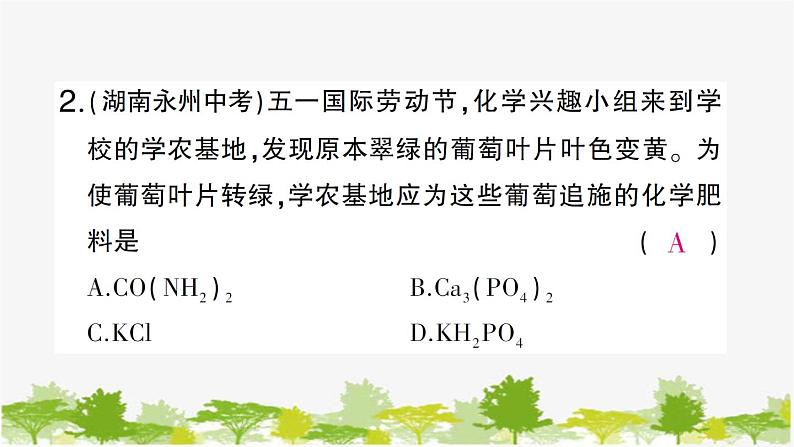 第三节 化学与农业生产第6页