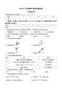 湖南省岳阳市临湘市2023-2024学年九年级上学期期中考试化学试题