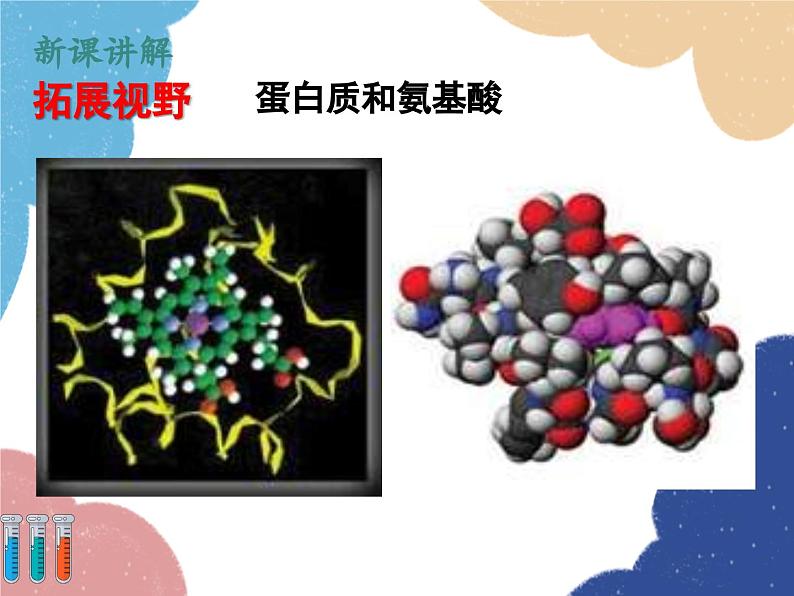 沪教版九年级化学 8.3 蛋白质 维生素课件06