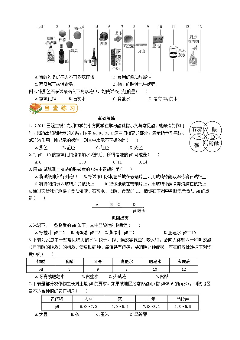 沪教版九年级化学 第7章第1节 溶液的酸碱性教案03