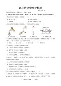 山东省菏泽市定陶区2023-2024学年九年级上学期期中考试化学试题