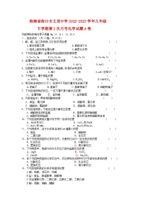 海南省海口市义龙中学2022-2023学年九年级下学期第2次月考化学试题A卷