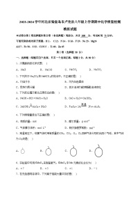 2023-2024学年河北省秦皇岛市卢龙县八年级上册期中化学学情检测模拟试题（附答案）