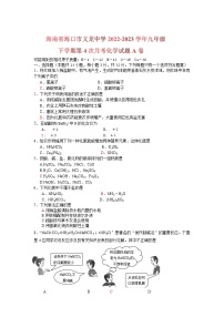 海南省海口市义龙中学2022-2023学年九年级下学期第4次月考化学试题A卷