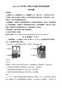 山东省济南市历下区2023-2024学年九年级上学期期中化学试题（解析版）