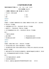 山东省泰安市东平县东原实验学校2023-2024学年九年级上学期第一次月考化学试题（解析版）