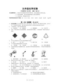 广西南宁市宾阳县2023-2024学年九年级上学期期中考试化学试题