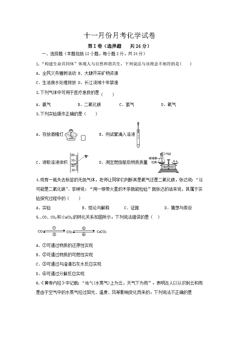 湖北省阳新县陶港镇初级中学2023-2024学年九年级上学期十一月份月考化学试卷01