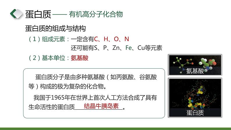 沪教版九下化学 8.3 《蛋白质 维生素》课件+视频06