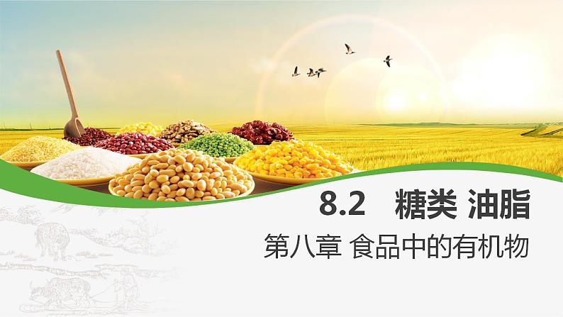 沪教版九下化学 8.2 《糖类 油脂》课件+视频01