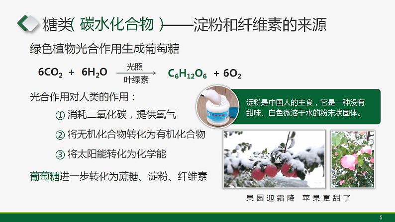 沪教版九下化学 8.2 《糖类 油脂》课件+视频05