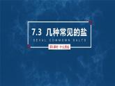 沪教版九下化学 7.3.1 《盐概念及化学性质》课件+视频