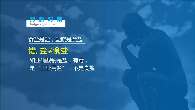 沪教版九下化学 7.3.1 《盐概念及化学性质》课件+视频02