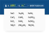 沪教版九下化学 7.3.1 《盐概念及化学性质》课件+视频