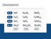 沪教版九下化学 7.3.1 《盐概念及化学性质》课件+视频