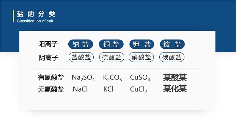 沪教版九下化学 7.3.1 《盐概念及化学性质》课件+视频06