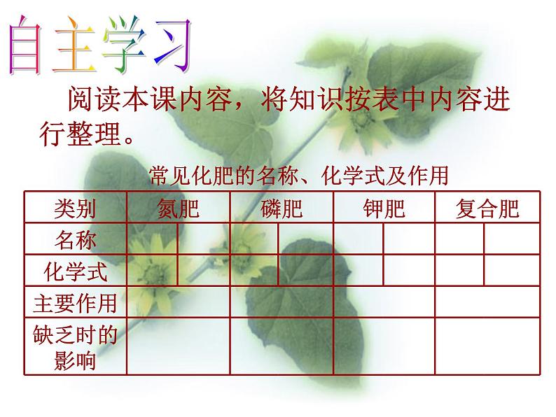 第十一单元课题2《 化学肥料》课件05