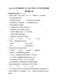 2023-2024学年海南省海口市九年级上学期12月月考化学质量检测模拟试题B卷（含答案）