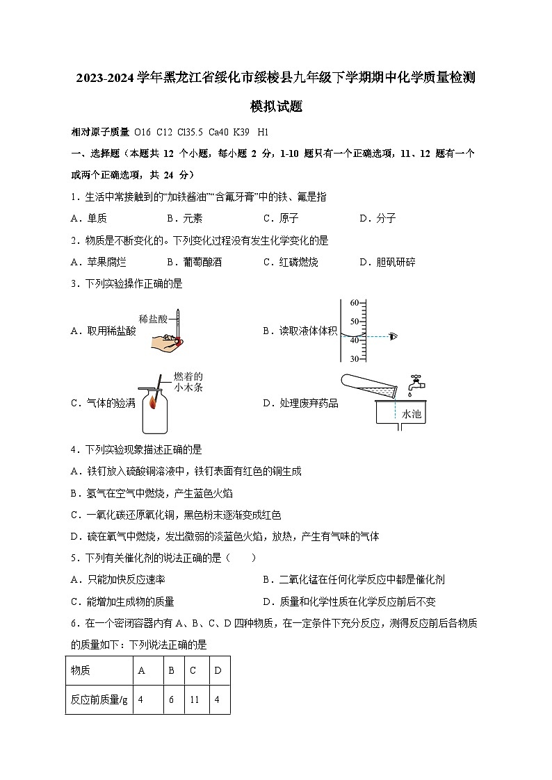 2023-2024学年黑龙江省绥化市绥棱县九年级下学期期中化学质量检测模拟试题（含答案）01