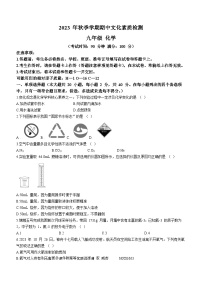 广西崇左市2023-2024学年九年级上学期期中化学试题