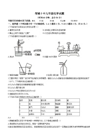 山东省济宁市邹城第十中学2023-2024学年九年级上学期第二次月考化学试题(无答案)