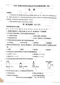 2022年山东省临沂市中考化学模拟试题（四）