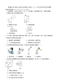 安徽省合肥市卓越中学2023~2024学年九年级上学期12月份月考化学试题