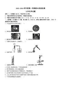 广东省汕头市潮阳区铜盂镇2023-2024学年九年级上学期期末联考化学试题