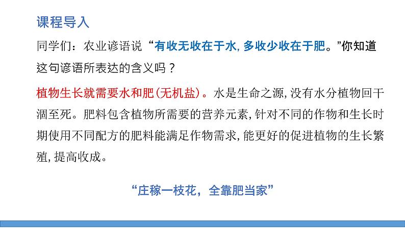 第十一单元课题2化学肥料课时1课件-2022-2023学年九年级下册化学人教版第3页