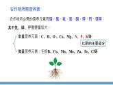 第十一单元课题2化学肥料课时1课件-2022-2023学年九年级下册化学人教版