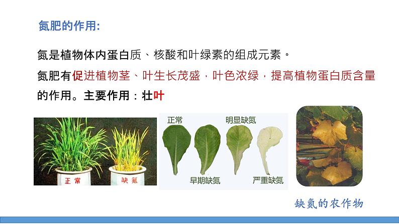 第十一单元课题2化学肥料课时1课件-2022-2023学年九年级下册化学人教版第7页