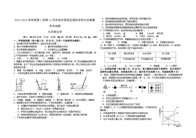 山东省济南市莱芜区莲河学校片区联盟2023-2024学年九年级上学期12月月考化学试题第1页