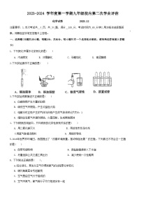 河北省唐山市路南区唐山市友谊中学2023-2024学年九年级上学期12月月考化学试题