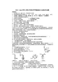 河南省郑州市枫杨外国语学校2023-2024学年九年级上学期第二次月考化学试卷