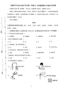 天津市西青区当城中学2023-2024学年九年级上学期11月质量检测化学试题