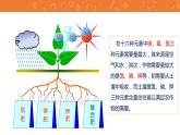 九年级化学下册第11单元 课题2《化学肥料》讲授式课件 人教版