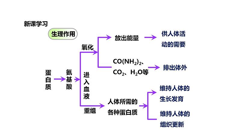 九年级化学下册第12单元 课题1《人类重要的营养物质》精品课件1 人教版07