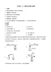 广东省广州市越秀区华侨外国语学校2023-2024学年九年级上学期期末化学试题