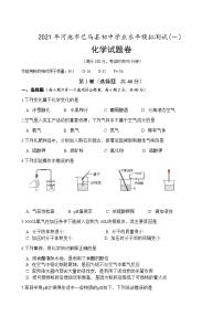 广西河池市巴马县2021年初中学业水平模拟测试（一）化学试题