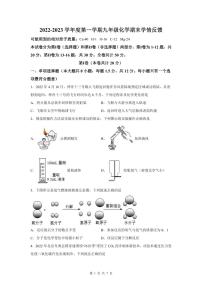 2022-2023深圳龙岗实验学校九年级（上）期末化学试卷