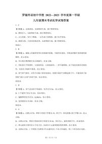 2022-2023深圳罗湖外语学校九年级（上）期末化学答案