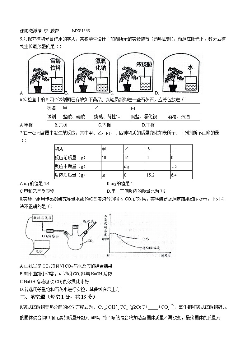 86，山东省枣庄市滕州市育才中学2023-2024学年九年级上学期第二次月考化学试题(无答案)第2页