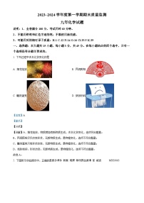 广东省汕头市潮阳区铜盂镇2023-2024学年九年级上学期期末联考化学试题（解析版）