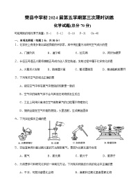 四川省自贡市荣县中学2023-2024学年九年级上学期第三次月考化学试题