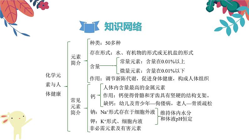 十二《化学元素与人体健康》 复习课件第3页